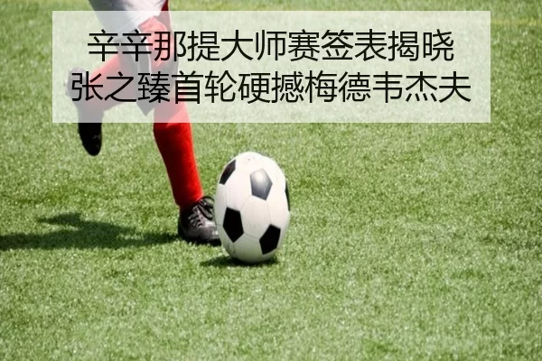 辛辛那提大师赛签表揭晓 张之臻首轮硬撼梅德韦杰夫