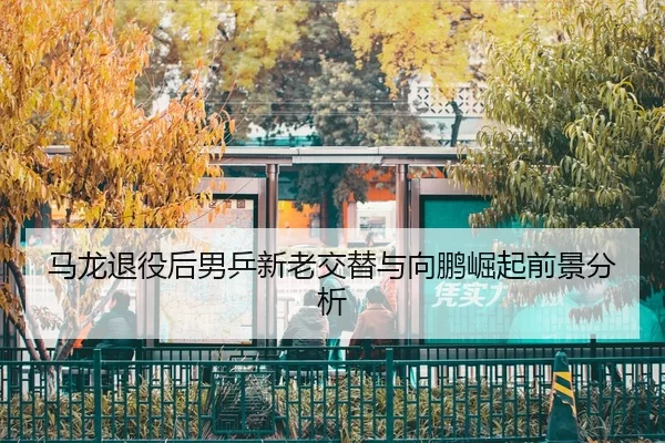 ma-long-tui-yi-hou-nan-ping-xin-lao-jiao-ti-yu-xiang-peng-jue-qi-qian-jing-fen-xi-2-201.jpg